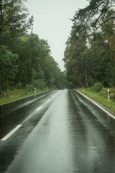 An empty wet road in autumn
