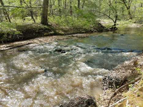 river or stream with rocks and trees in forest or woods