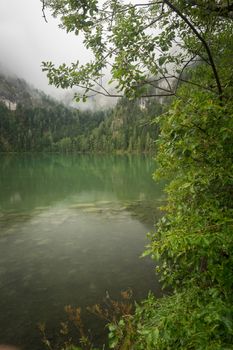 Nature shot at the Gleinkersee in Austria