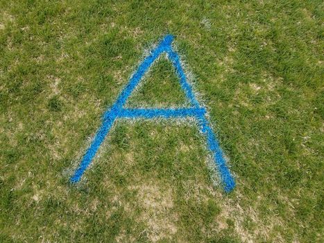 blue letter A spray painted on green grass or lawn