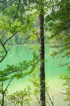 Beautiful lake in Austria, Gleinkersee in Austria