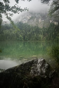 Nature shot at the Gleinkersee in Austria