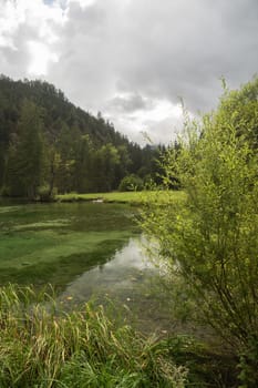 Schiederweiher, beautiful lake in Austria near Hinterstoder