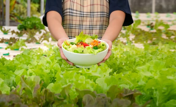 fresh organic salad with tuna in white bowl in farm