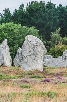 Menhir fields in Carnac dnas the morbihan in brittany, France