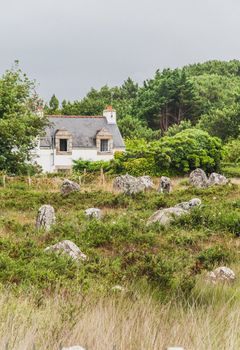 Menhir fields in Carnac in the morbihan in brittany, France