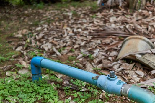 Old water valve with blue plastic pipe in garden with blur brown dry leaves as background and copy space.