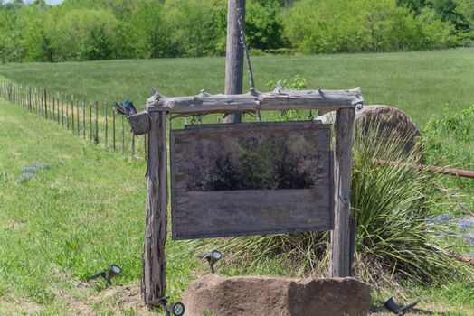 Scenic rural landscape from Bristol, Texas during springtime with blossom Bluebonnet wildflower