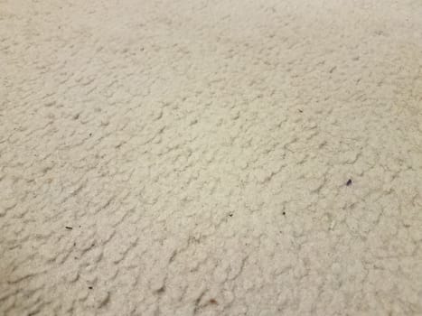 dirty or filthy white or grey or gray carpet or rug with hairs
