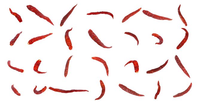 Dried chili on white background.