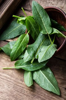 Fresh baby spinach on rustic wooden background.Fresh spinach leafs