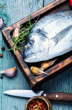 Fresh dorado fish on wooden cutting board