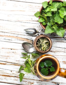 Herbal tea.Cup of herbal tea with nettle.Tea with fresh nettles.Stinging nettle