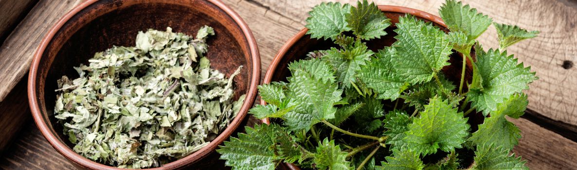 Fresh stinging nettle leaves on wooden table.Urtica dioica, often called common nettle