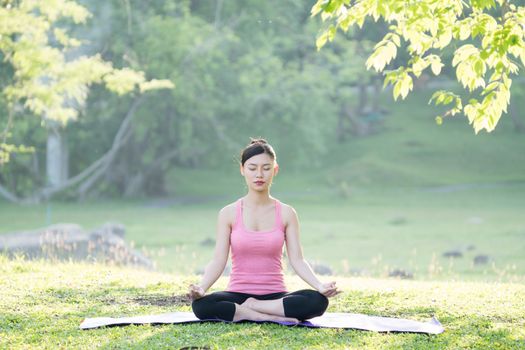 young beautiful asian woman practicing yoga  in the garden