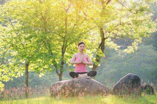 young beautiful asian woman practicing yoga  in the garden