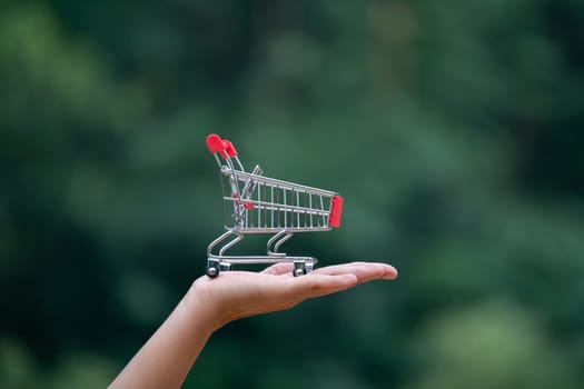 empty shopping cart on hand natural background