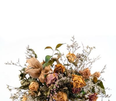 dried flowers isolated on white background