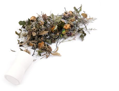 dried flowers in vase on white background