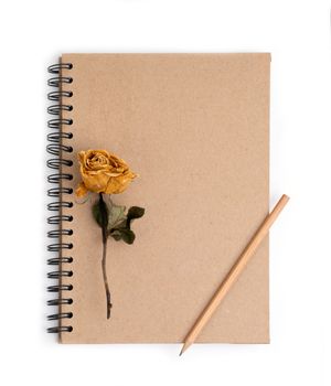 dried rose flower with pencil on notebook page 