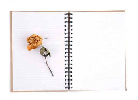 dried rose flower with pencil on notebook page 