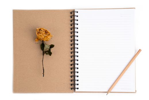 dried rose flower with pencil on notebook page 