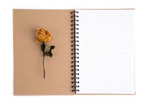 dried rose flower with pencil on notebook page 