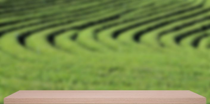 tea garden defocus background with wooden shelf