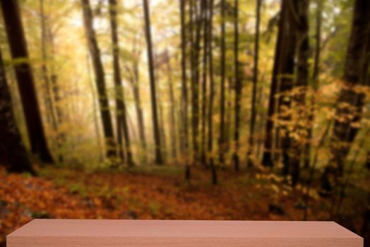 colorful autumn forest defocus background with wooden shelf