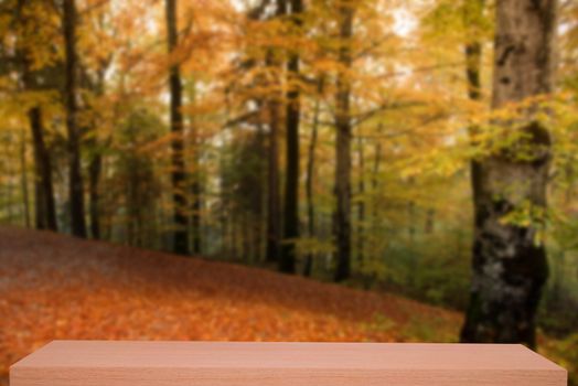 colorful autumn forest defocus background with wooden shelf