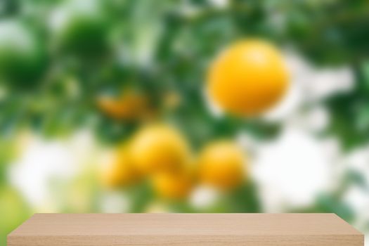 fresh orange hanging on tree defocus background with wooden shelf