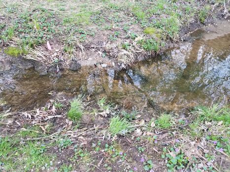 small stream or creek or river and mud and grass outdoor