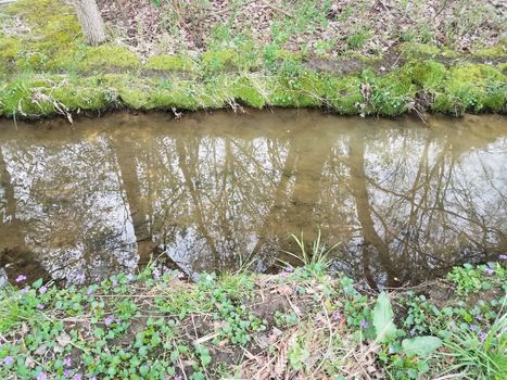small stream or creek or river and mud and grass outdoor