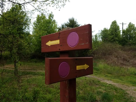 wood sign with purple dots and arrows and trees and grass and trail or path