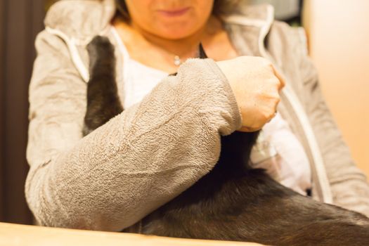 Woman is holding relaxed cat in the arm