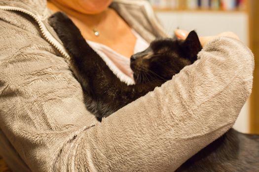 Woman is holding relaxed cat in the arm