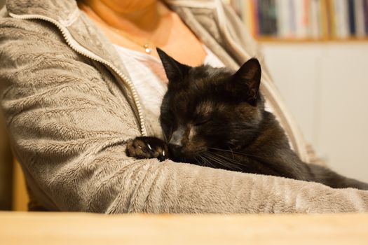 Woman is holding relaxed cat in the arm