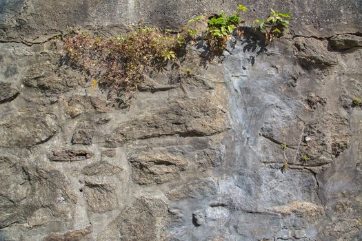 A texture of stones, also suitable as a background