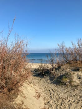 Scenic View Of Sea Against Clear Blue Sky and Sunlight