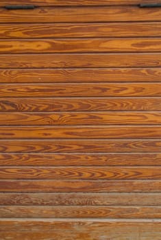 A texture of wood, also suitable as a background