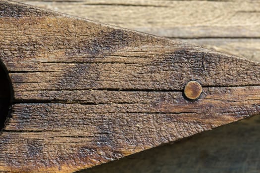 A texture of wood, also suitable as a background