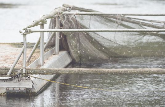 A boat dock with device and net for fishing