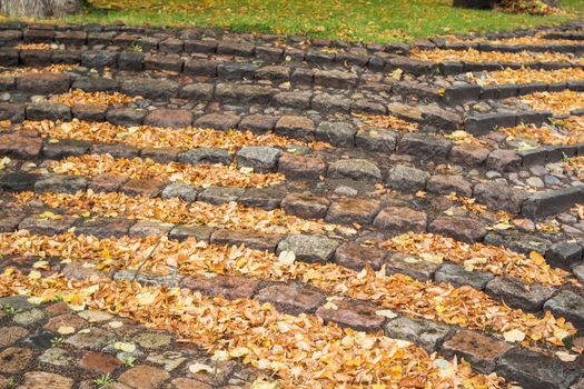 A staircase of stone with many autumn leaves