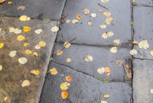 Floor of stones wet from the rain and autumn leaves