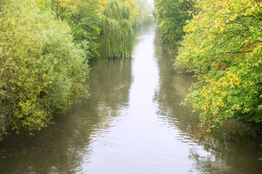View from the bridge to the river with many trees