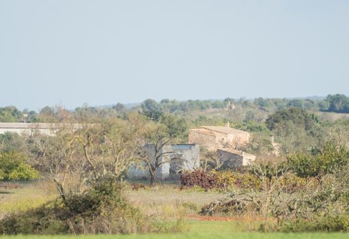 Peaceful landscape scene on Mallorca, Spain