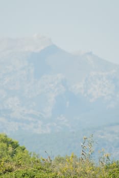 Grass in the foreground, sky and mountains in the background, vertical format