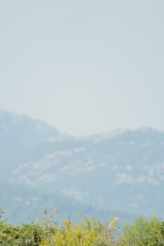 Grass in the foreground, sky and mountains in the background, vertical format