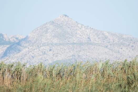 Grass in the foreground, sky and mountains in the background