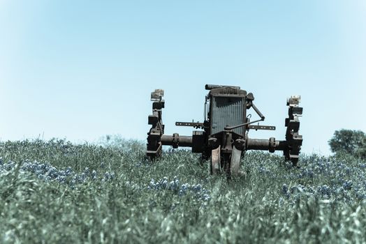 Vintage tone old tractor and Bluebonnet blossom at rural farm in Bristol, Texas, USA. Wildflower blooming in meadow with rustic wagon, countryside landscape